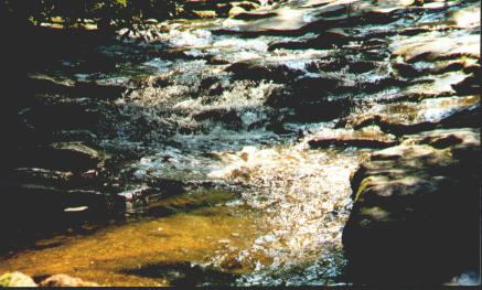 Linn Run State Park