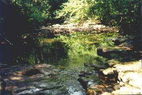 Linn Run State Park