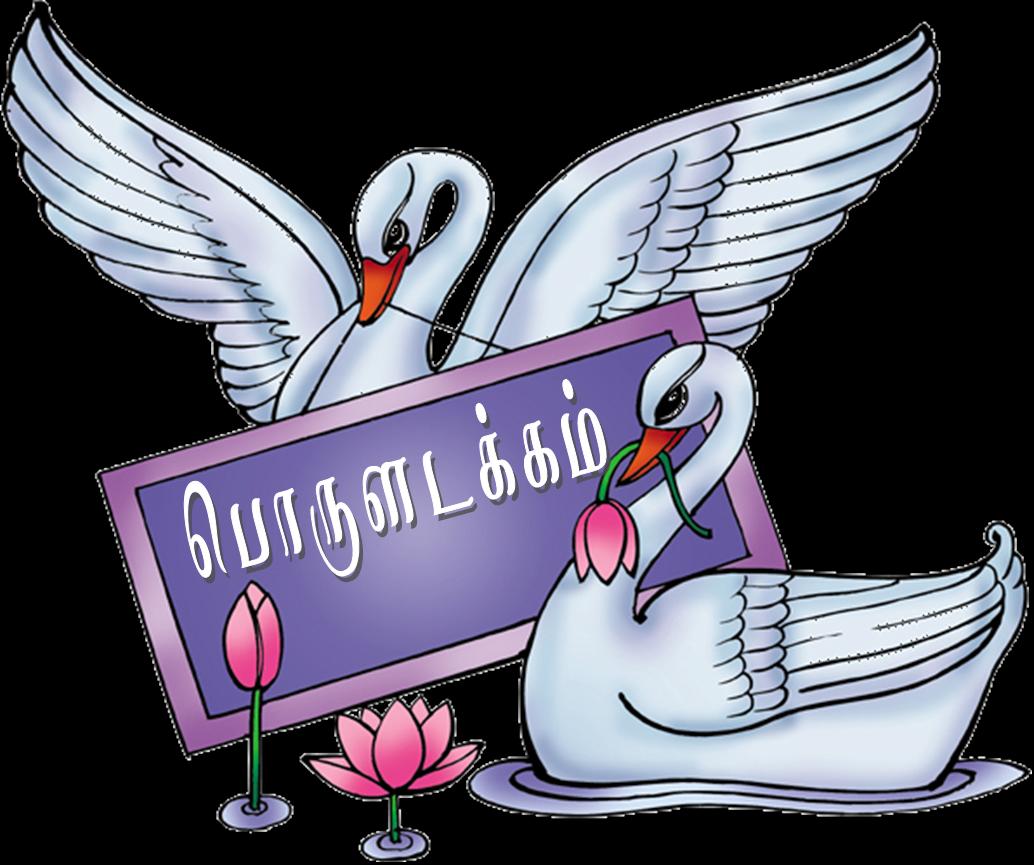 swans