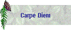 Carpe Diem