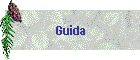 Guida