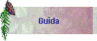 Guida