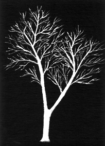 Custom Tshirts Nature Series Design 1