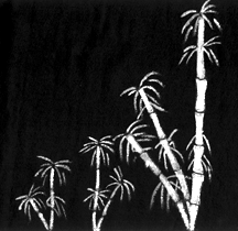 Custom T shirt Nature Series Design 5