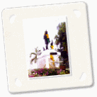 img5.gif