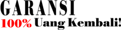 bisnis internet