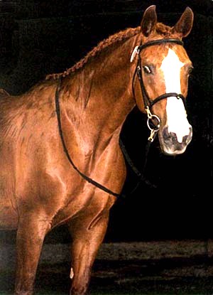 © Marydell Farms