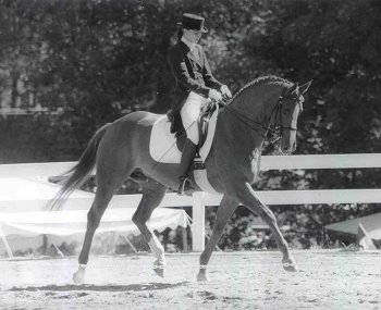 © River House Hanoverian