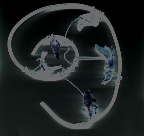 mortal coil