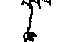 Plant Selection