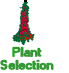 Plant Selection
