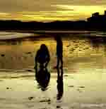 Kids at low tide