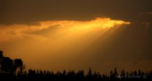 Crepascular rays