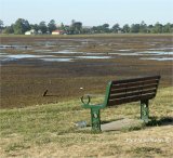 Lake Wendouree, Nov 2006