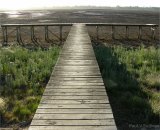 Jetty at Lake Wendouree, Nov 2006