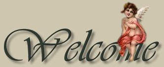 VICCI'S BANNER