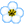 whiteflower.gif (11324 bytes)