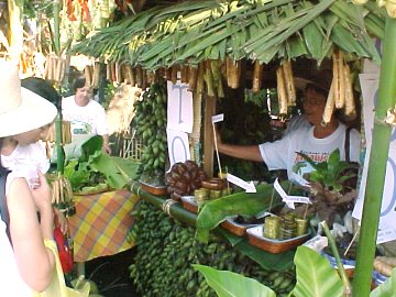 Suman Festival 2003