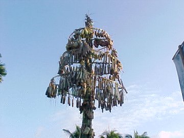 Suman Festival 2003