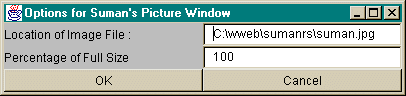 Picture of the Options Window