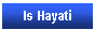 Metin Kutusu: Is Hayati