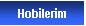 Metin Kutusu: Hobilerim