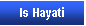 Metin Kutusu: Is Hayati