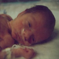 small_newbornSummer.jpg (6611 bytes)