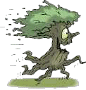  Save a tree, get it used