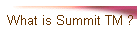 What is Summit TM ?