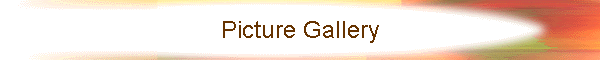 Picture Gallery