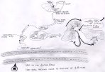 Map detail for Alcove Areas