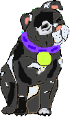 Dot