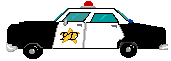 police car
