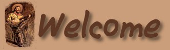 Banjo Border 1