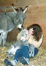 Donkeys are cute at any age
