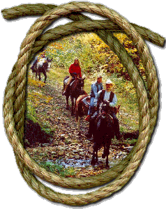 A trail ride through beautiful woods
