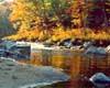 Falling leaves and a placid stream