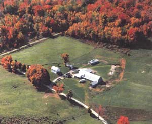 Scenic Mountain View Ranch