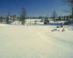 Ah, Vermont in winter