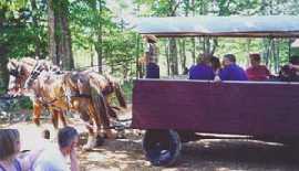 A wagon ride along the Wood-Chip Trail