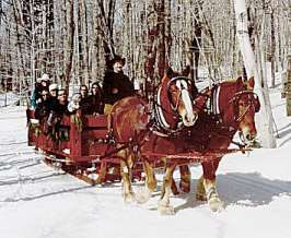 A Two-horse Open Sleigh