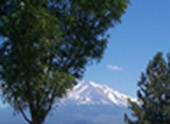 View of a snow caped 		mountain top at a highway rest stop in Washingtion