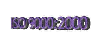 Versin 2000 de las normas ISO 9000