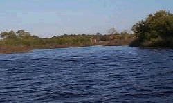waterway view