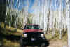 My Jeep in an amazing Aspen grove.  I tried to go back but the forest service had destroyed the road and blocked it off... grrr.. =(