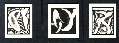 whales expressing themselves