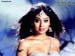 800shriya16