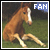 Horses Fan