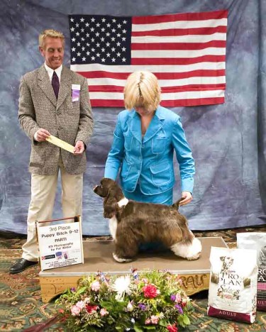 'Graphic: Picture of Holly'